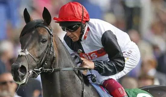 "美国法老"134分高居排名榜首 荣获世界马王桂冠