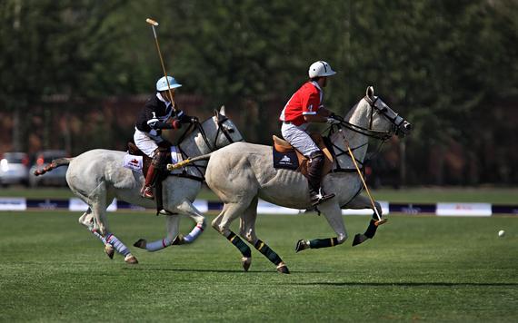 马球比赛
