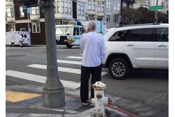 波波，你快回来！