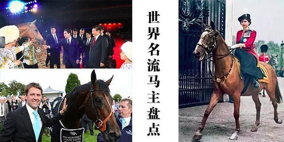 名流马主背后故事
