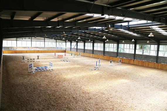 马场推荐:骏威国际俱乐部_手机新浪网