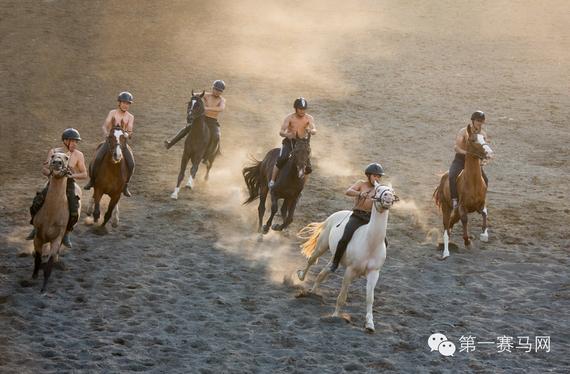 奔驰中的汗血宝马