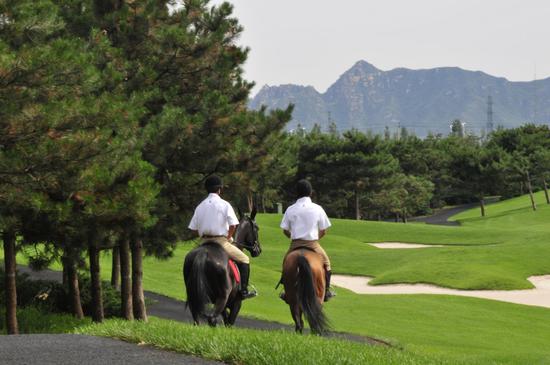 华彬马会俱乐部:推广华贵优雅运动 享受经典生活_马术_新浪竞技风暴
