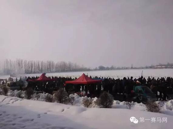 雪地赛马盛况
