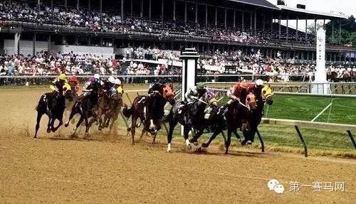 广州赛马