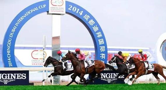 　2014年首届成都·迪拜国际杯--温江·迈丹赛马经典赛