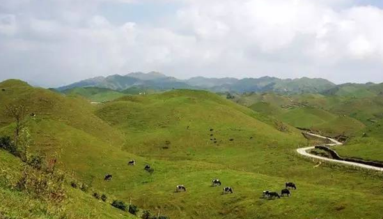 冬无严寒夏无酷暑放马南山下休闲度假享悠然