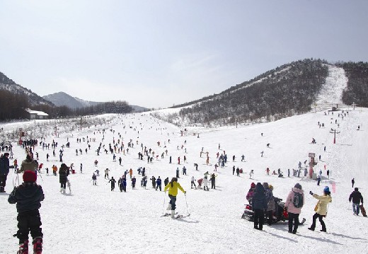 滑雪（资料图）