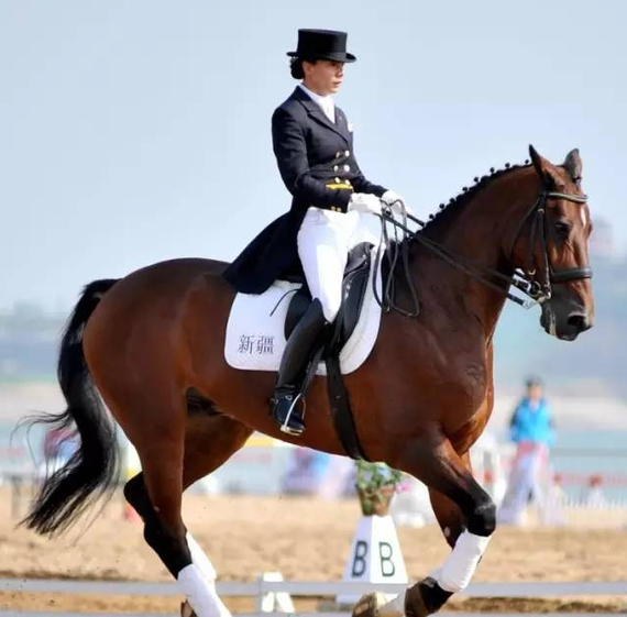 国内马术圈女神大盘点