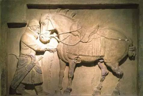 改变人类文明进程的马