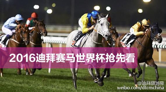 2016迪拜赛马世界杯