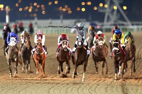 美国马"闪亮加州"夺迪拜世界杯冠军