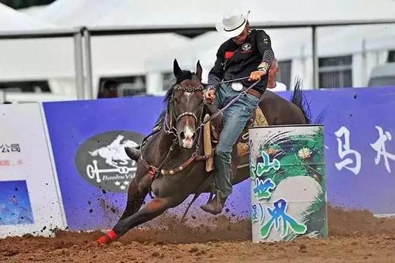 “金蚂蚁杯”马术邀请赛