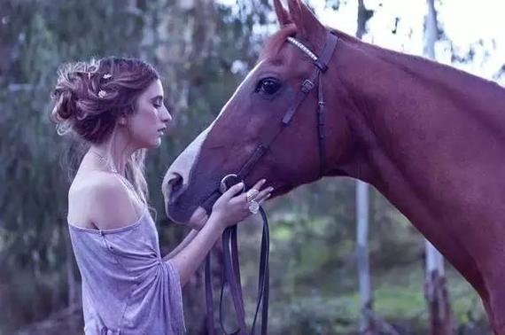 如何了解你的马