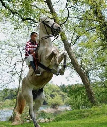 骑马游中国最美乡村婺源:邂逅最刻骨铭心的豪情