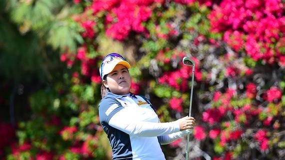 韩国著名球手朴仁妃