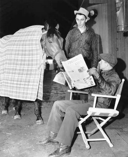 《奔腾年代》原型:获美国十大新闻人物的传奇马