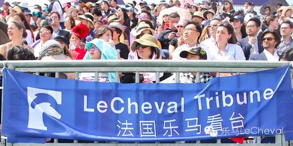 上海环球马术冠军赛法国乐马看台