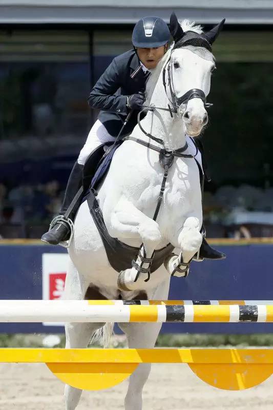 骑白马的真不一定是王子,他也可能是酋长