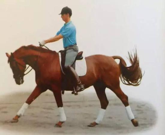 演示如何放松缰绳