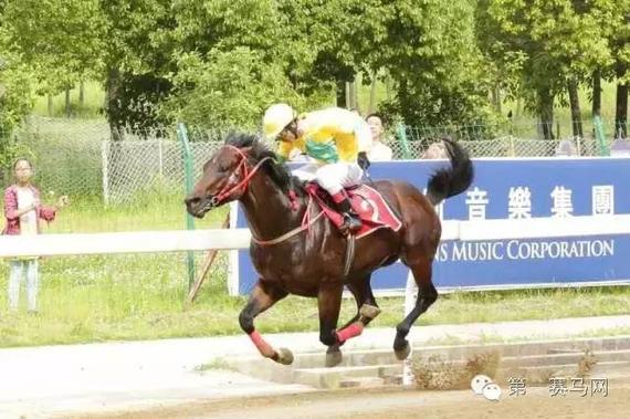 赛马“中国红”