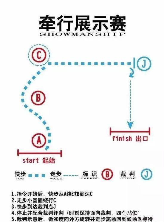 规定双手持缰绳牵引马匹自起始线进入场地,按照路线及要求的步伐行进