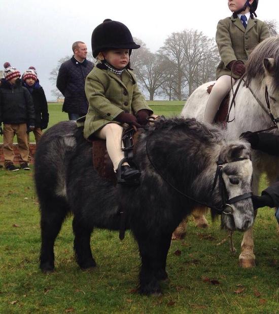 那拉提小矮马表演赛小短腿与小萌娃的神奇组合