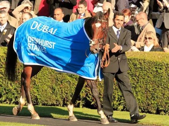 “范高尔”每次出赛都吸引大批观众入场。