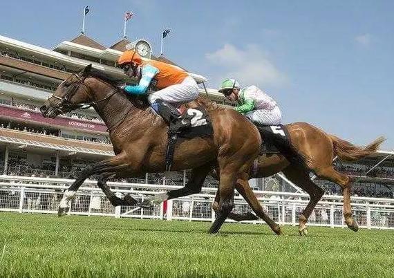 “Cunco”首次出赛，即以大约一个马位的距离，击败对手胜出。