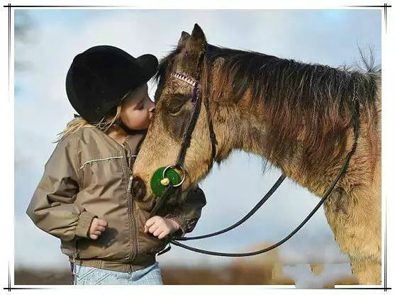 儿童学习马术应该注意哪些问题