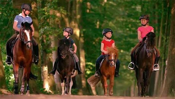 感悟生命的运动