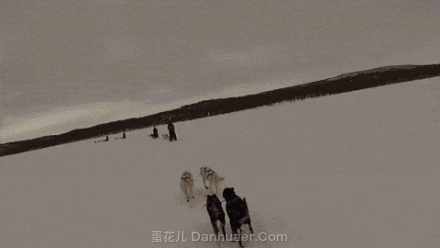 雪橇三傻：听说有提到我们诶