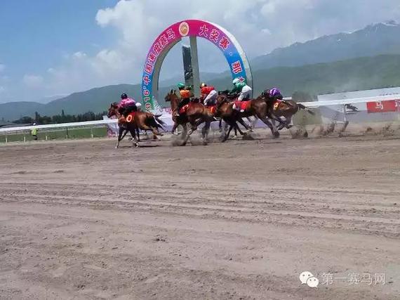 2016年中国速度赛马大奖赛·那拉提站