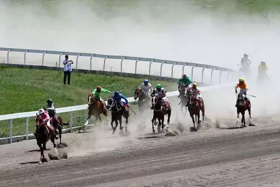 气势磅礴的赛马