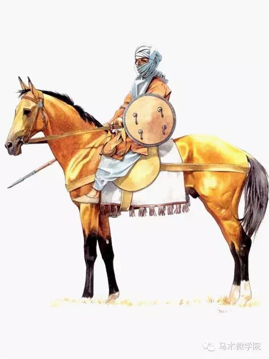 最初,土生土长的阿拉伯人并没有军队的概念.