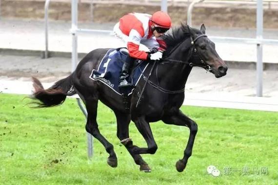 又一"蒙古可汗"即将诞生?