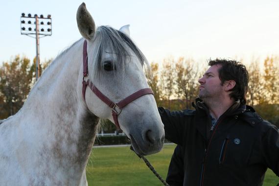 赛马的夏日护理