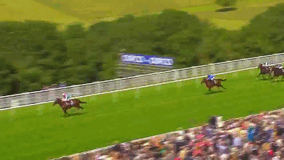 2012年赛事2011年赛事▲图/bos magazine,范高尔1960年,这项赛事