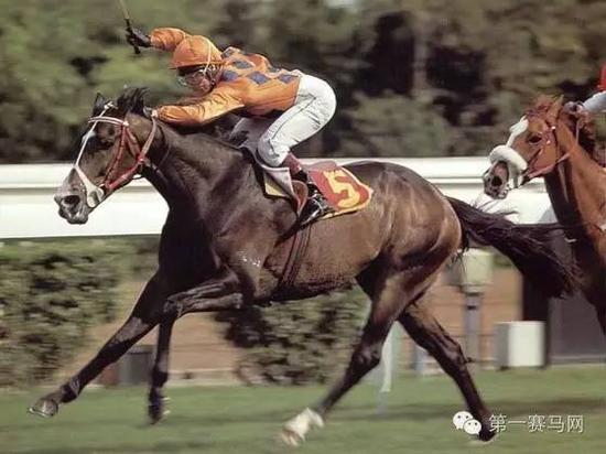 盘点世界各地三冠大赛带你了解历史上的三冠马王