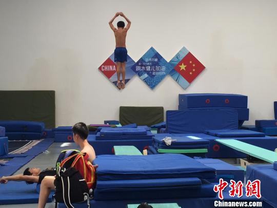 8月8日下午，上海跳水队的训练馆里，运动员们在训练中。 郑莹莹 摄