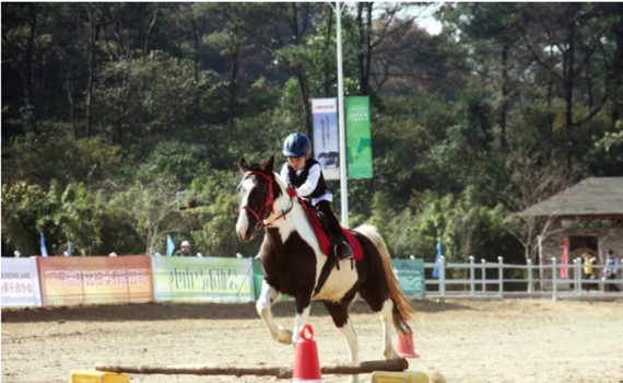 正在马背上的马术初学者