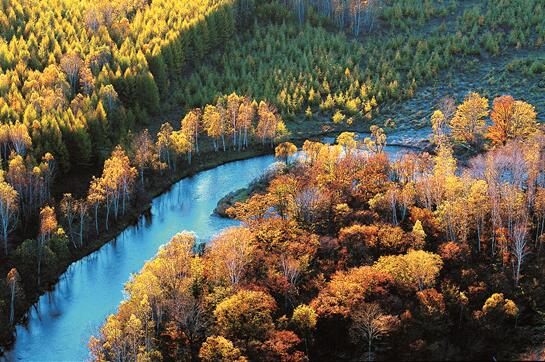 伊春国际森林马拉松报名启动