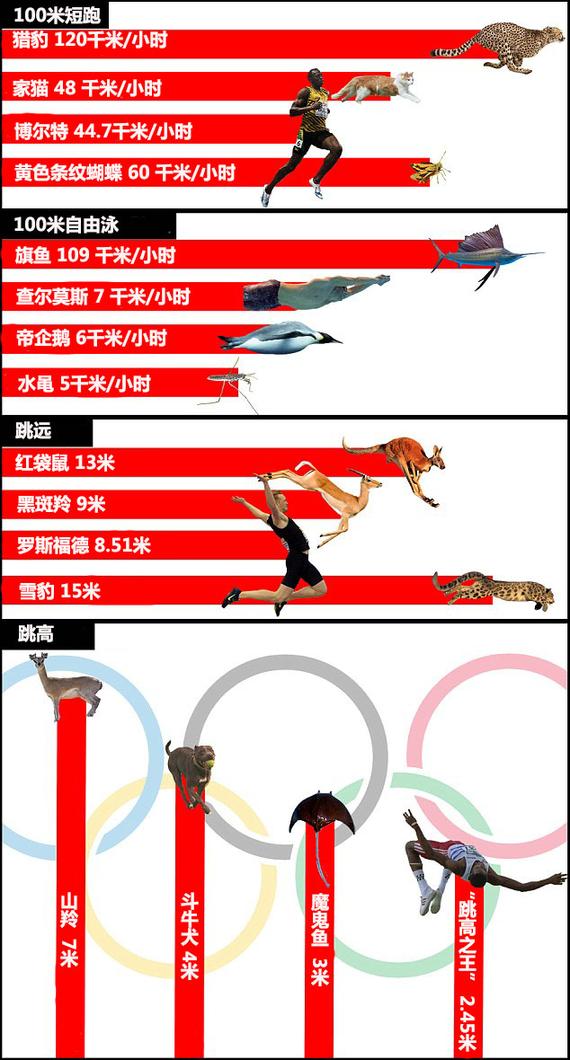 人兽大战