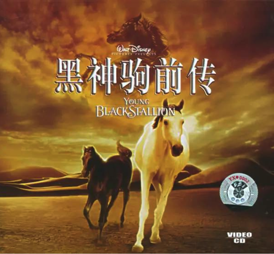 61走心推荐!那些励志感人让你心心念念的爱驹电影