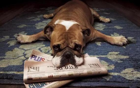 你究竟为懒惰找了多少借口