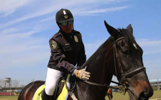 k7娱乐推荐新锦海