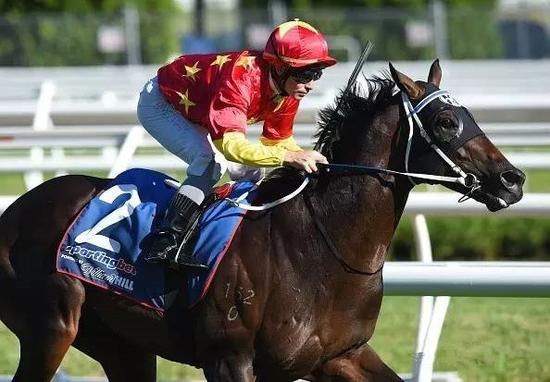 盘点国内大马主的彩衣 设计独一无二价值不可估量