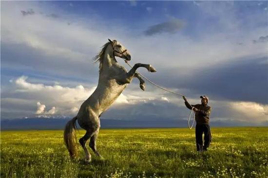 "天马之乡"昭苏的人马情缘