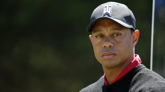 再一次，老虎觉得自己还没准备好