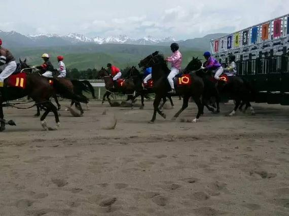 “走马”开赛